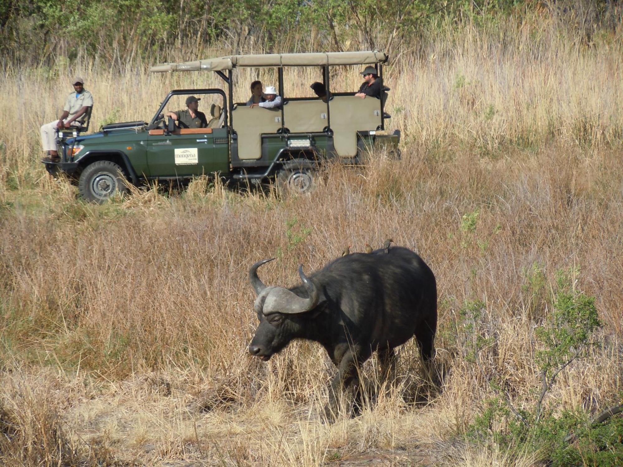 Little Mongena Tented Camp Klipdrift ภายนอก รูปภาพ